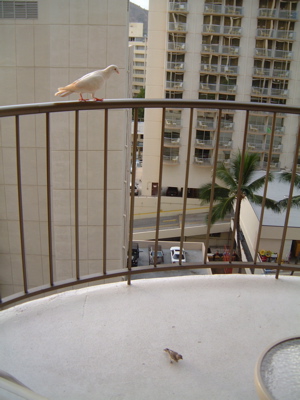a0011999_21515584.jpg