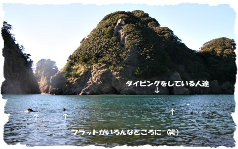 c0050400_18465413.jpg