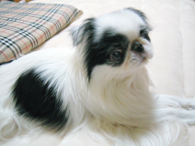 d0079302_0541972.jpg