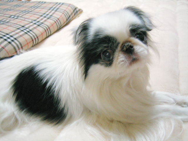 d0079302_0542874.jpg