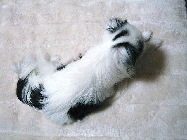 d0079302_0543895.jpg