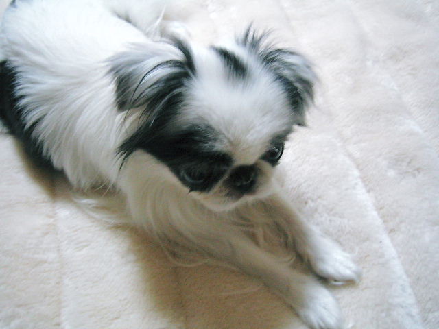 d0079302_0544821.jpg