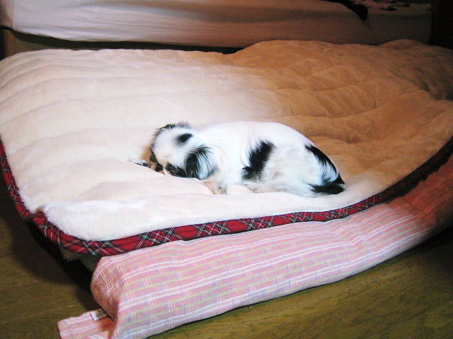 d0079302_18223232.jpg