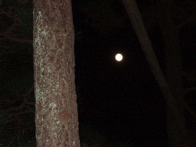 f0084806_735399.jpg