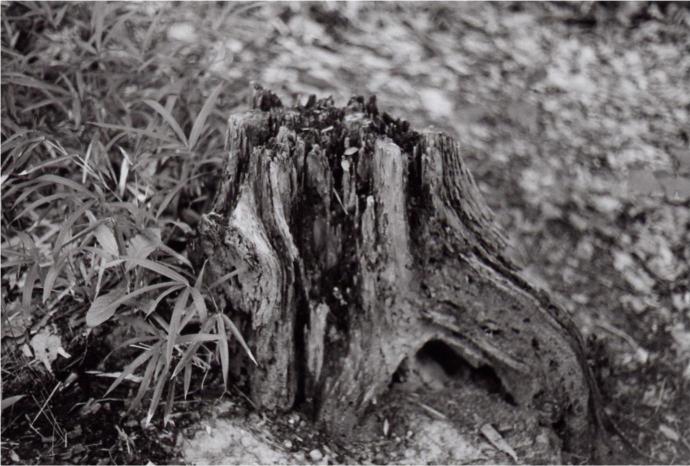 d0071507_20394837.jpg