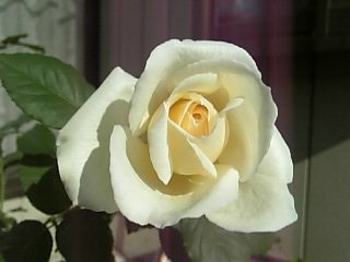 e0098908_22184437.jpg