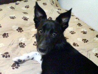 f0090009_12394756.jpg