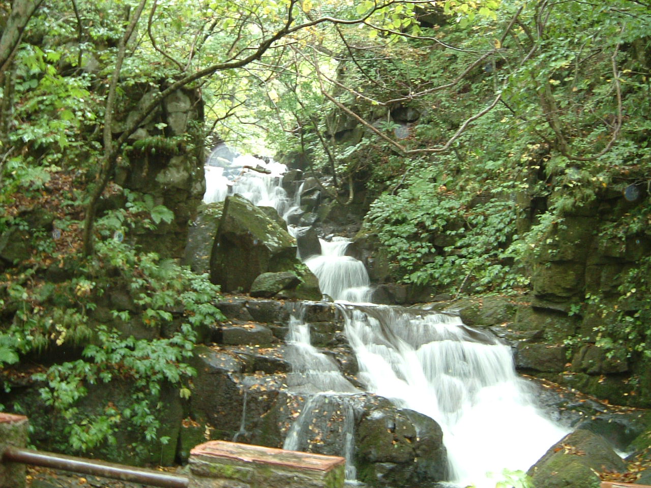e0100210_1304376.jpg