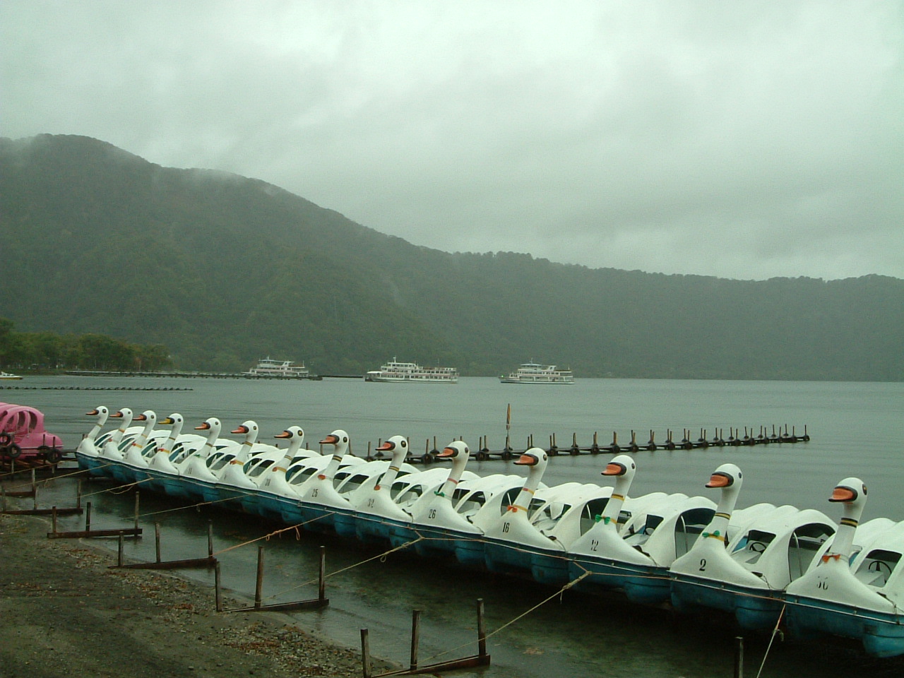 e0100210_139640.jpg