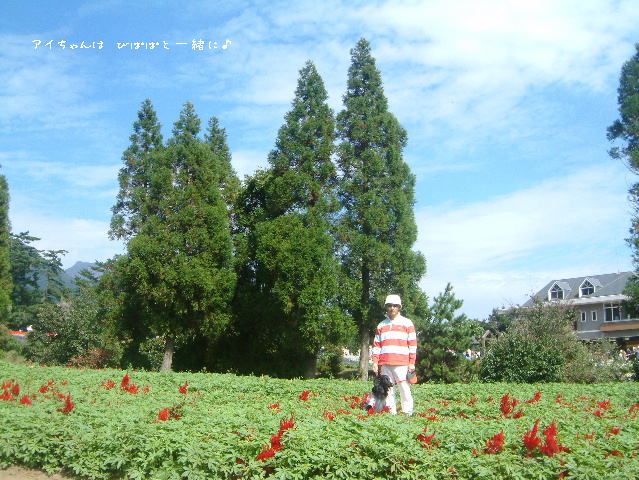 c0017311_15301422.jpg