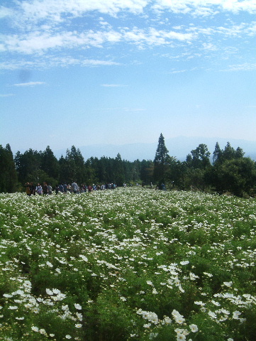 c0017311_15355678.jpg