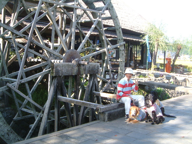 c0017311_15435413.jpg