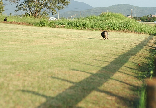 b0003512_13281436.jpg
