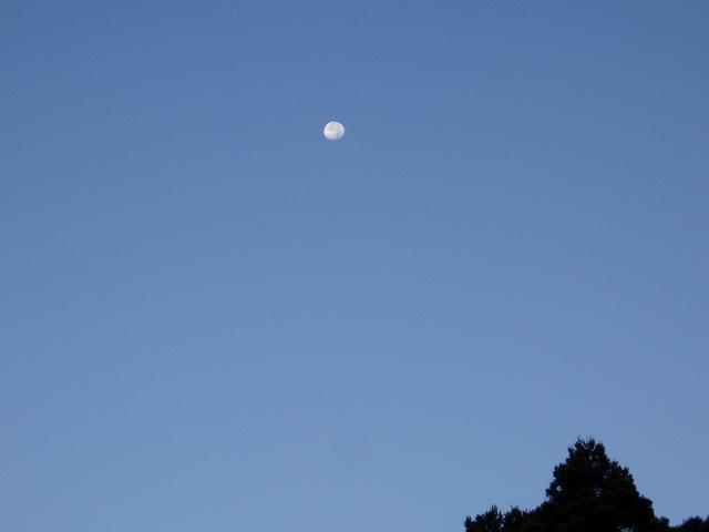 c0086014_702580.jpg
