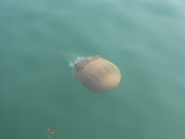 e0002314_21222042.jpg