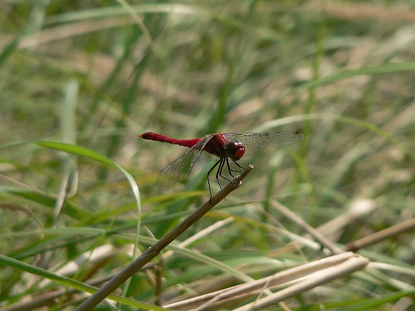 e0002314_21332043.jpg