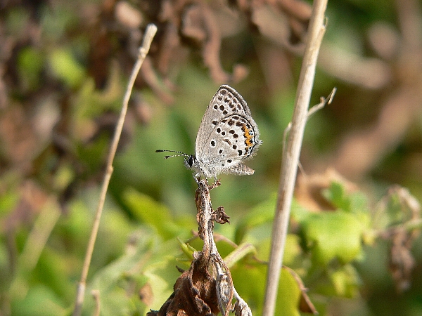 e0002314_21412820.jpg