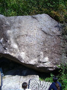 e0054423_2345252.jpg