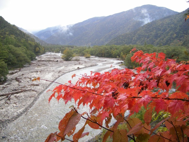 b0062024_21551466.jpg
