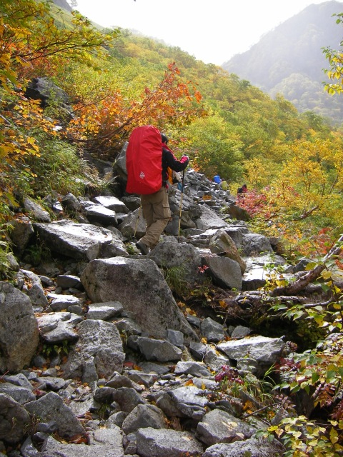 b0062024_2215456.jpg