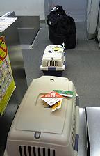 f0022024_22354658.jpg
