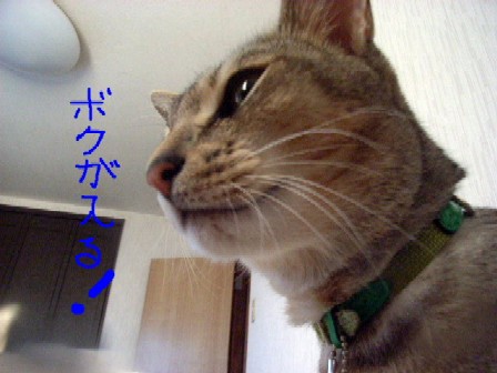 d0081025_1210718.jpg