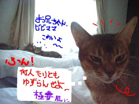 d0081025_1222551.jpg