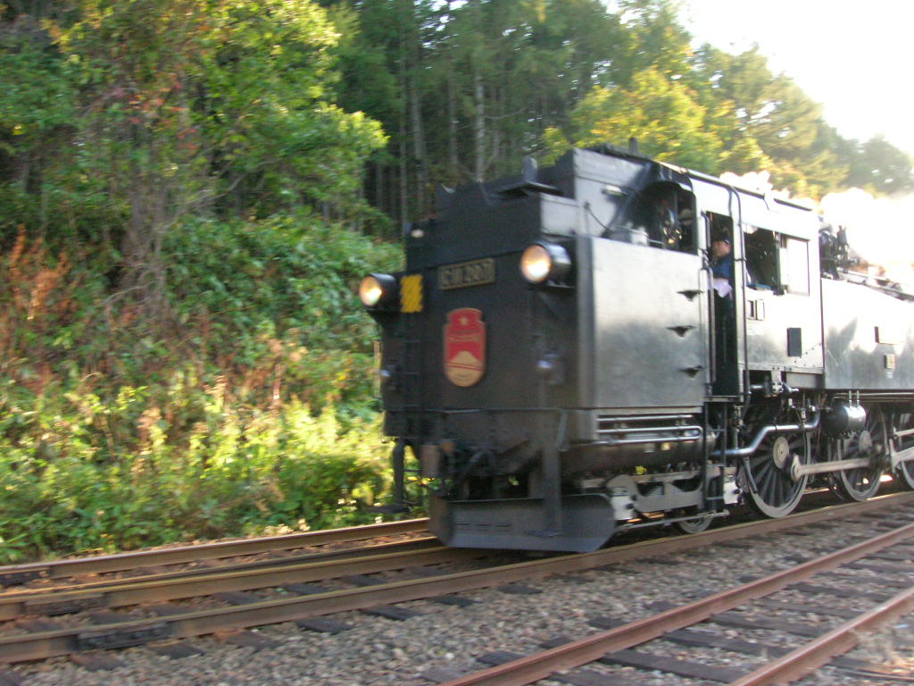 f0051125_20222345.jpg