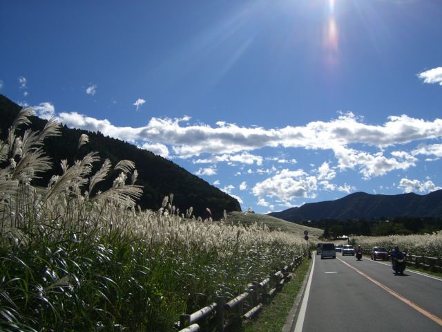 f0065126_032225.jpg