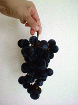 d0048332_13542795.gif