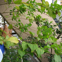 d0033734_14563690.jpg