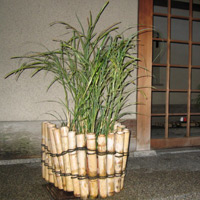 d0033734_1457928.jpg