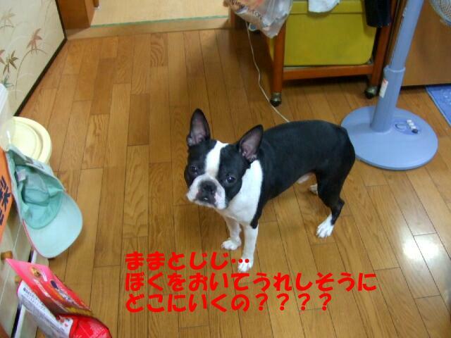 f0059334_1210721.jpg