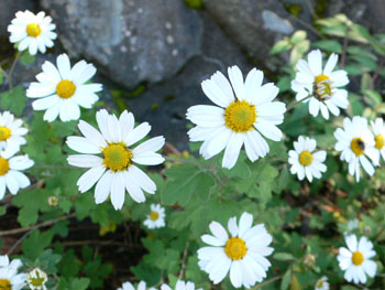 f0061334_1213087.jpg