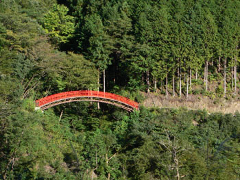 f0061334_12151540.jpg