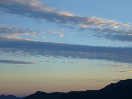 a0008538_027366.jpg