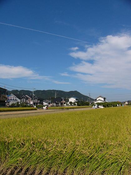 b0075541_232953100.jpg