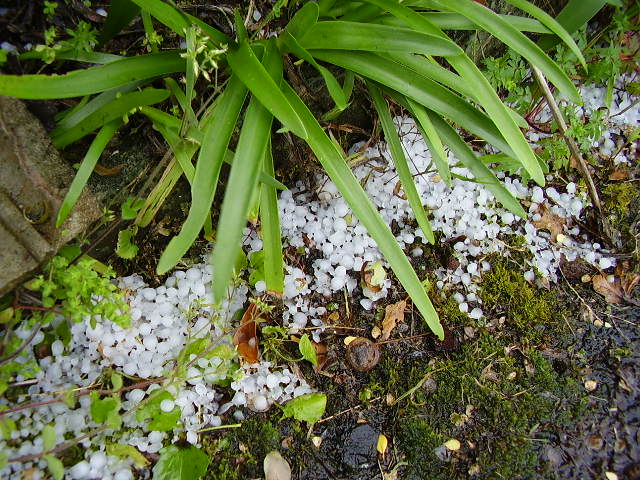 f0079844_1013412.jpg