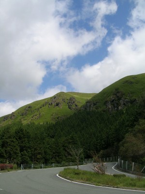 c0014846_8461845.jpg