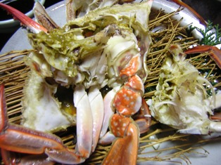 c0081552_20553776.jpg