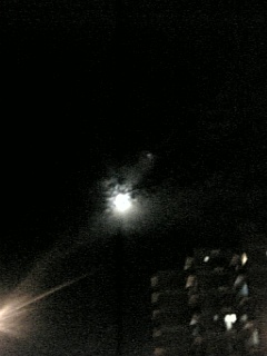 d0094056_1374721.jpg