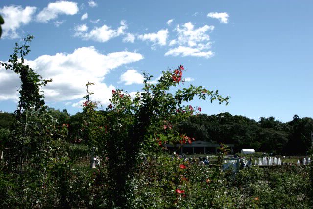 f0044056_1825013.jpg