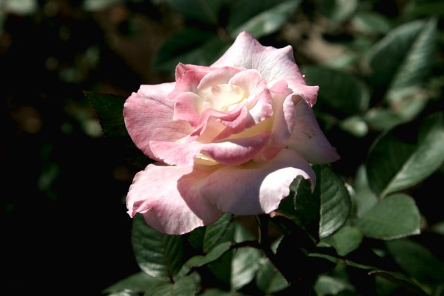 f0044056_18253615.jpg