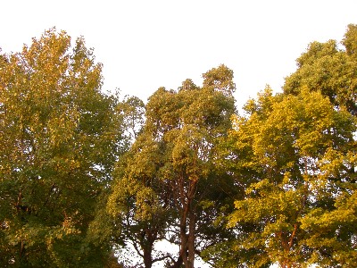 f0104057_19175585.jpg