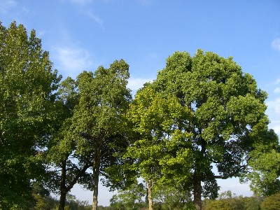 f0104057_1992880.jpg