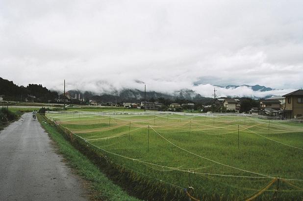 c0024558_17532668.jpg
