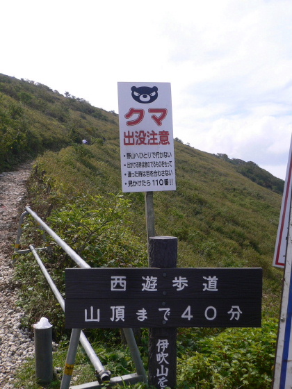a0063364_19451846.jpg