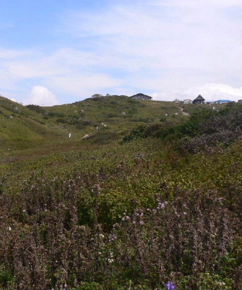 a0063364_200832.jpg