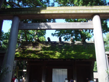 d0064366_19125361.jpg