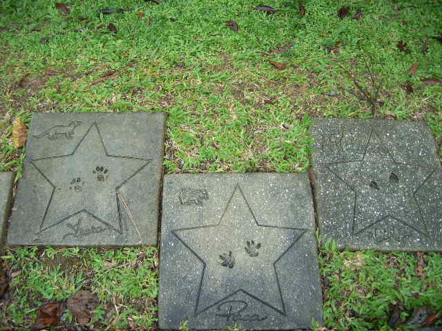 f0101868_21521420.jpg